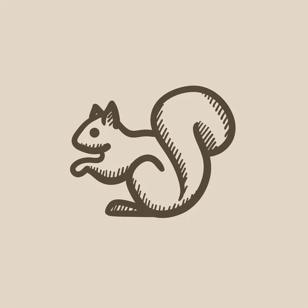 Icona schizzo scoiattolo . — Vettoriale Stock
