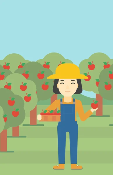 Agricultor recogiendo manzanas vector ilustración . — Vector de stock