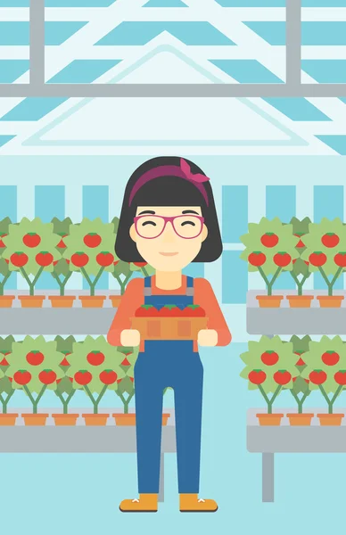 Rolnik, gromadzenie ilustracja wektorowa pomidory. — Wektor stockowy