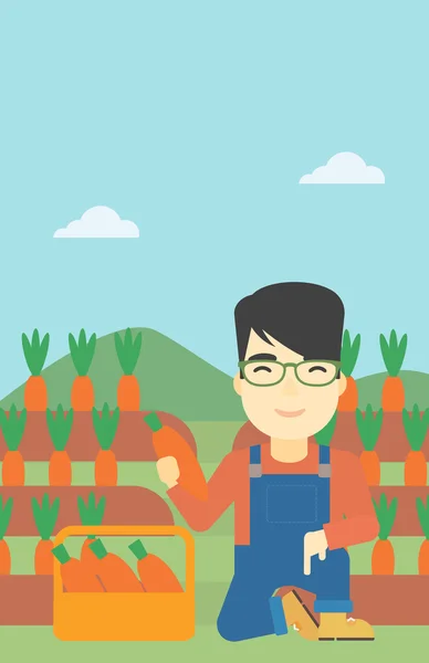 Agriculteur collectant des carottes illustration vectorielle . — Image vectorielle