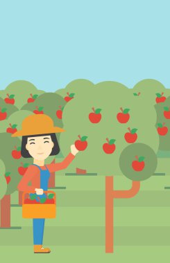 Elma vektör çizim toplama çiftçi.