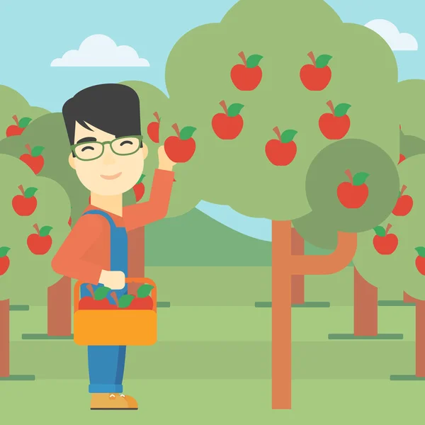 Αγρότης συλλέγοντας μήλα διανυσματικά εικονογράφηση. — Διανυσματικό Αρχείο