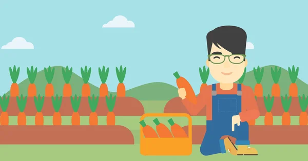 Agricultor recoger zanahorias vector ilustración . — Vector de stock
