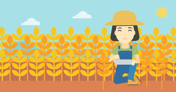 Agriculteur avec ordinateur tablette sur le terrain . — Image vectorielle