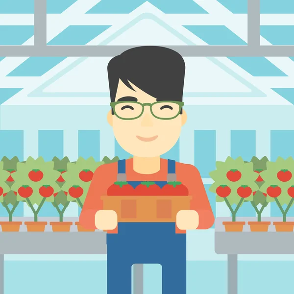 Agricultor coleta tomate vetor ilustração . — Vetor de Stock