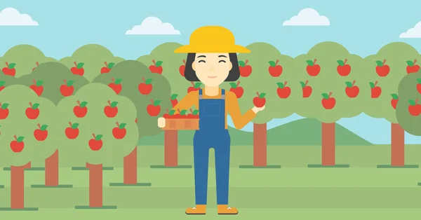Illustration vectorielle des pommes récoltées par les agriculteurs . — Image vectorielle