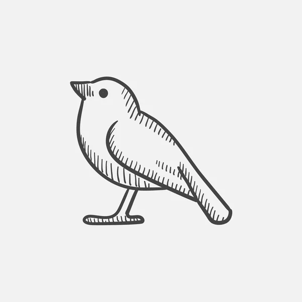 Пиктограмма Птицы . — стоковый вектор