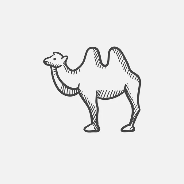 Icône croquis chameau . — Image vectorielle