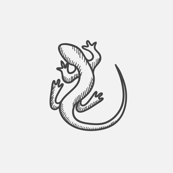 Icono de boceto de lagarto . — Archivo Imágenes Vectoriales