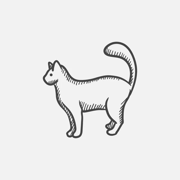 Katt skiss ikon. — Stock vektor