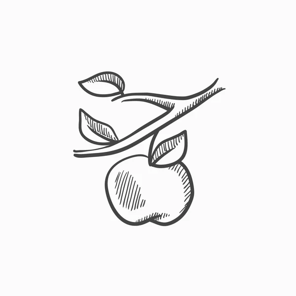 Apple récolte croquis icône . — Image vectorielle