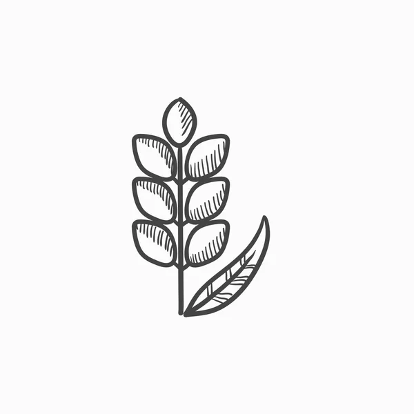 Weizen-Sketch-Symbol. — Stockvektor