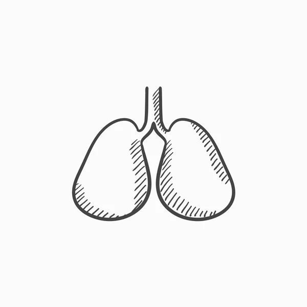 Lungs sketch icon. — Stock Vector