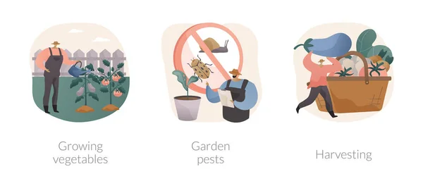 Home Gardening abstraktes Konzept Vektor Illustrationen. — Stockvektor