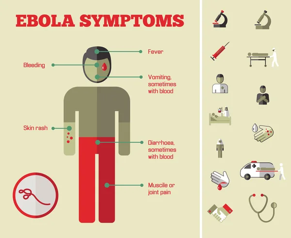 Modèle d'infographie médicale . — Image vectorielle