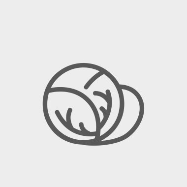 Lahana ince çizgi simgesi