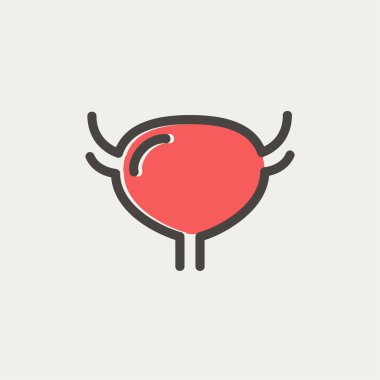 Rahim ve yumurtalıklar ince çizgi simgesi