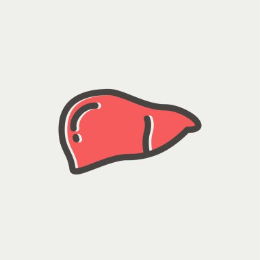 Human liver thin line icon clipart