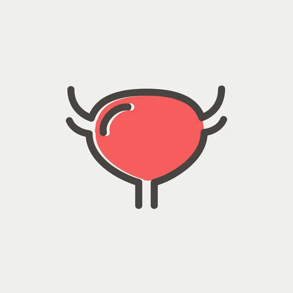 Uterus and ovaries thin line icon — Stock Vector