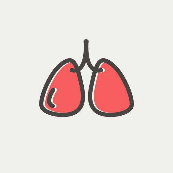 Lungs thin line icon — Stock Vector