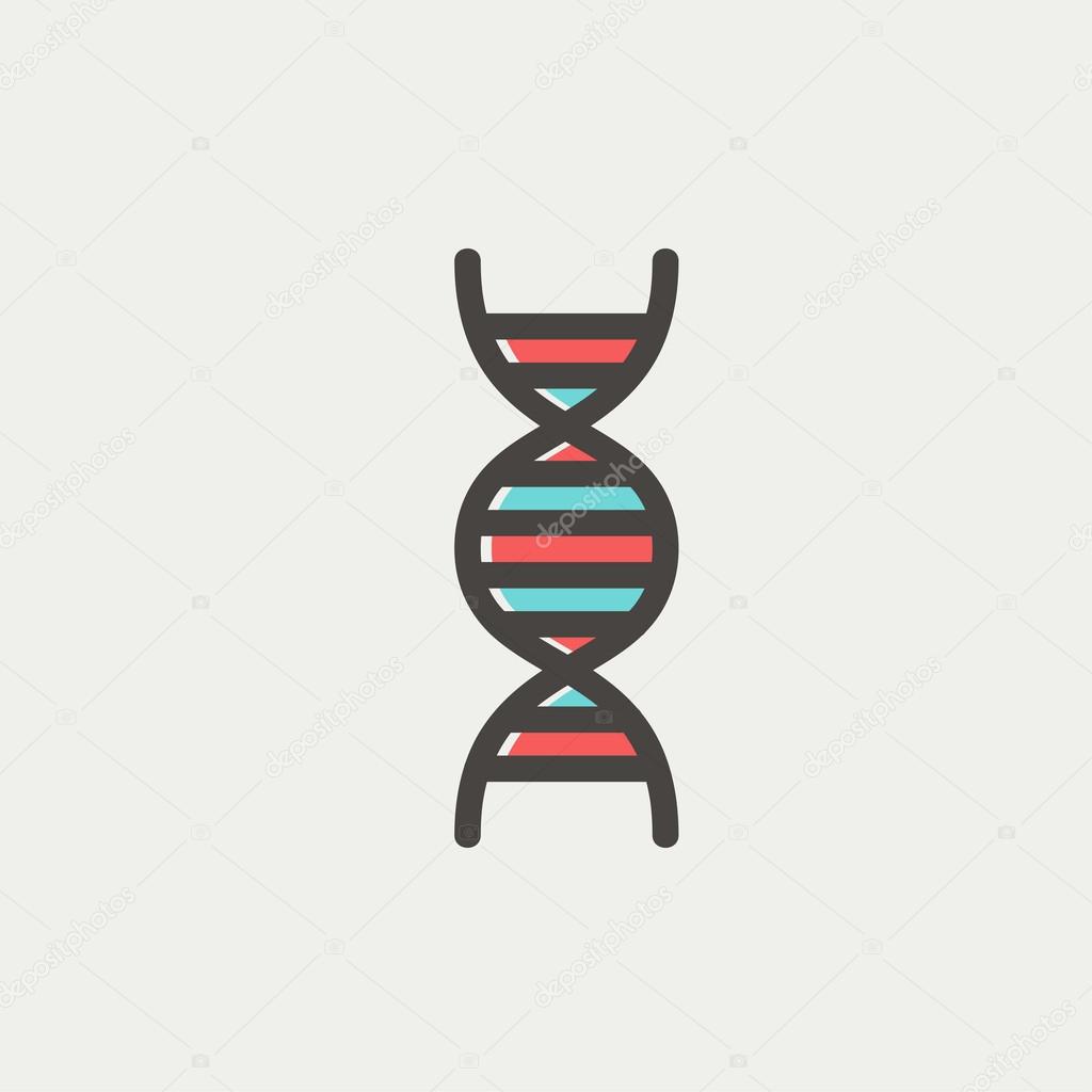 DNA thin line icon