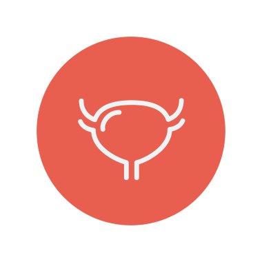 Uterus and ovaries thin line icon clipart