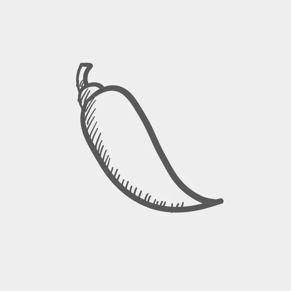 Chilli sketch icon — Stock Vector