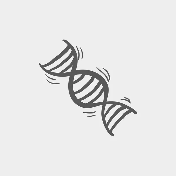DNA skica ikony — Stockový vektor