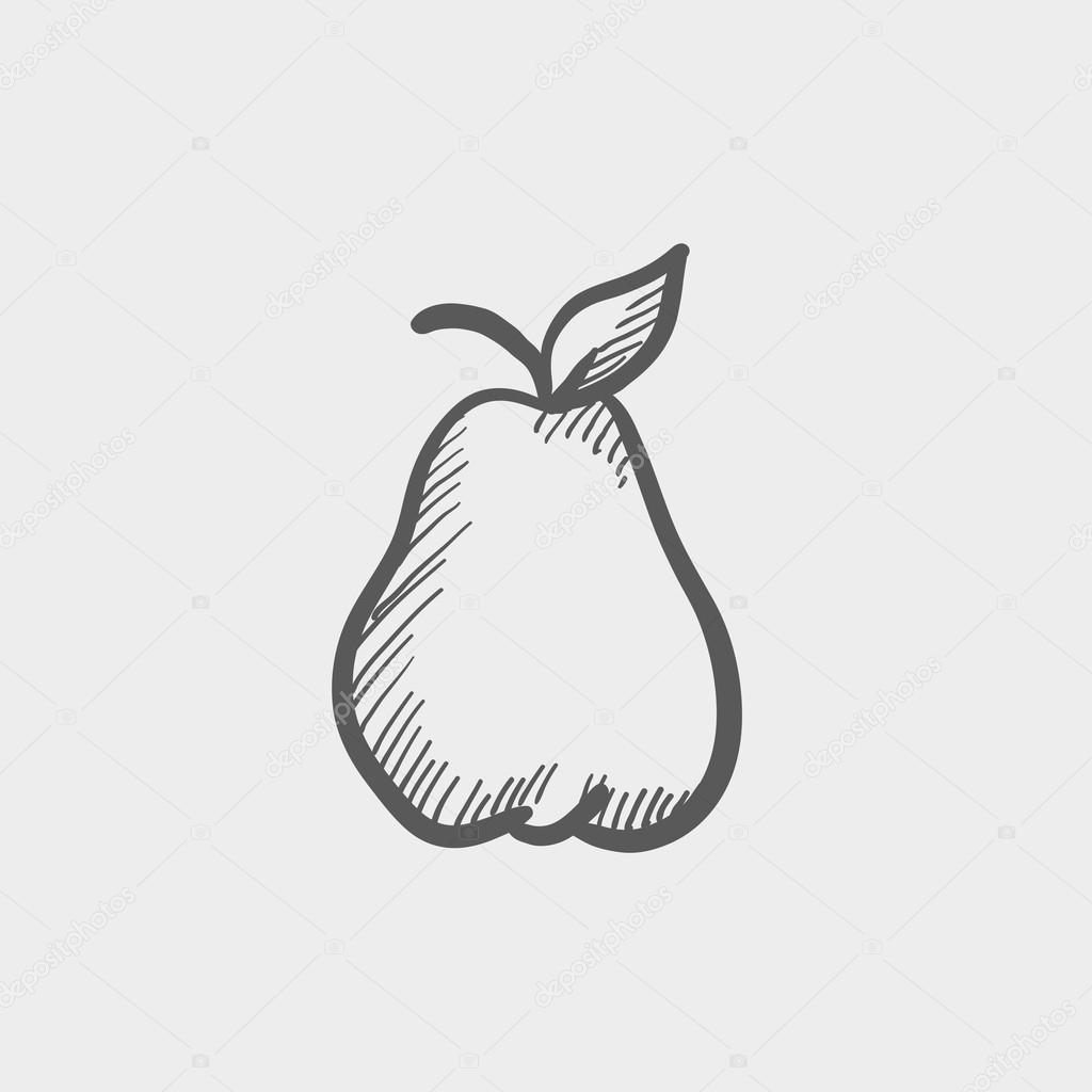Pear sketch icon