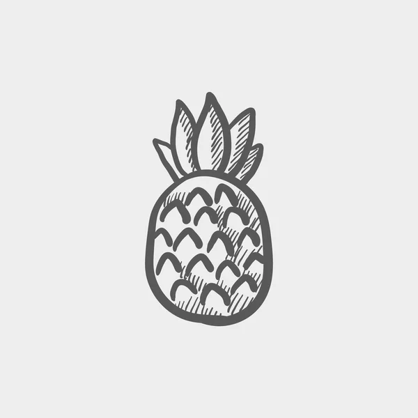 Pineapple sketch icon — Stock Vector