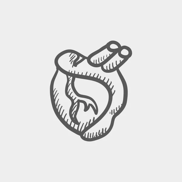 Human heart sketch icon — Stock Vector