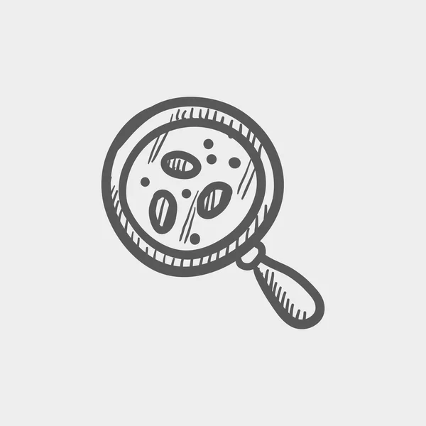 Microorganism under magnifier sketch icon — Stock Vector