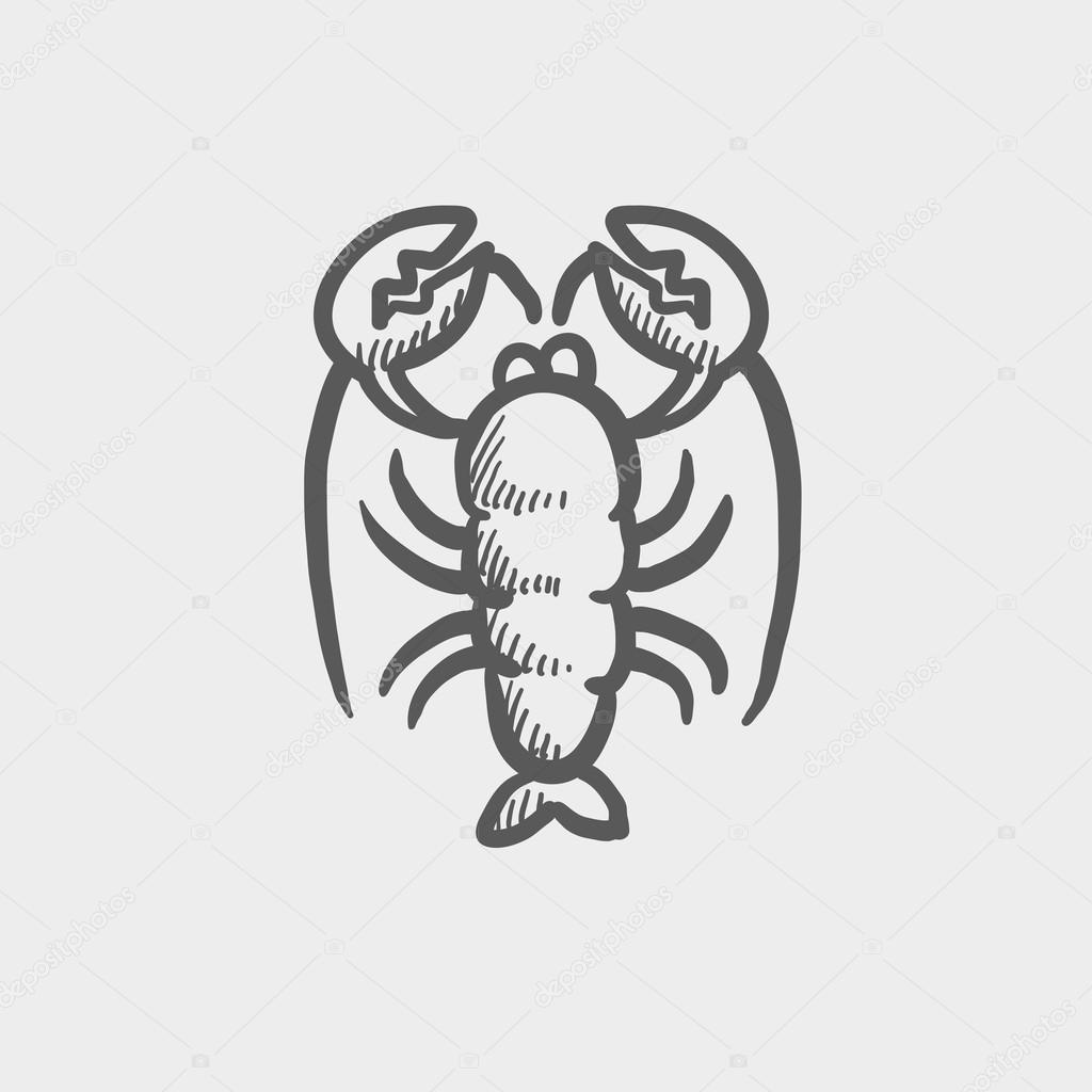 Lobster sketch icon