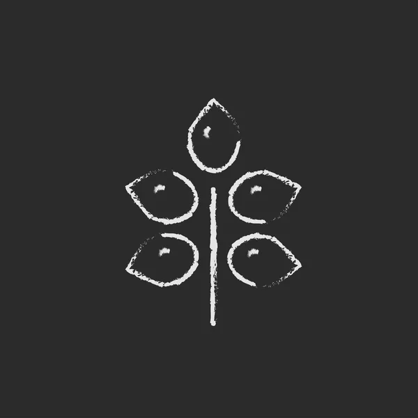 Гілка з піктограмою листя, намальованою крейдою . — стокове фото
