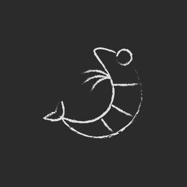 Ícone de camarão desenhado em giz . — Vetor de Stock