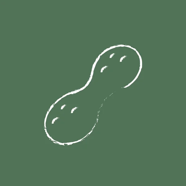 Icona di arachidi disegnata in gesso . — Vettoriale Stock