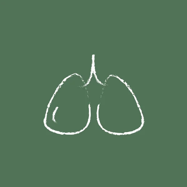 Ícone de pulmões desenhado em giz . — Vetor de Stock