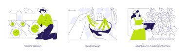 Sebze yetiştirmek, izole edilmiş çizgi film çizimleri. Tarlada lahana yetiştiren çiftçi, fasulye çiftliği, hidroponik sera, salatalık üretimi, tarım sektörü karikatürü..