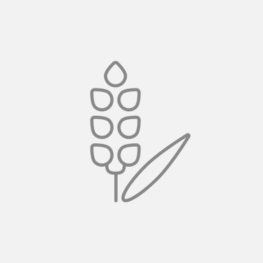 Buğday satırı simgesi.