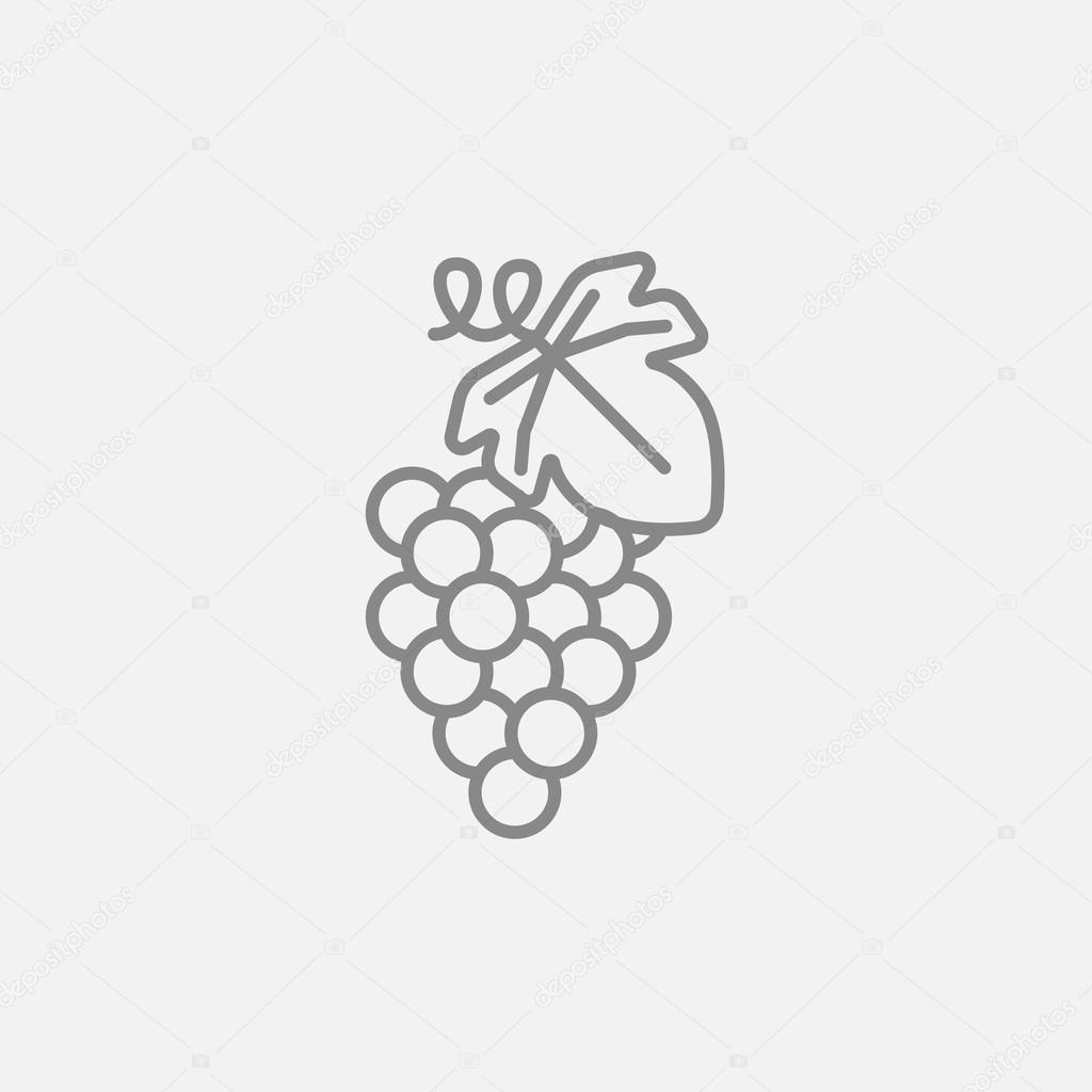 Grape line icon.