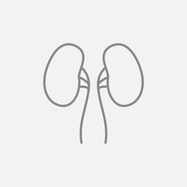 Böbrek çizgisi simgesi.