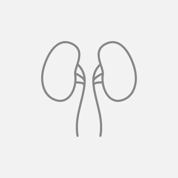 Icono de línea renal. — Vector de stock