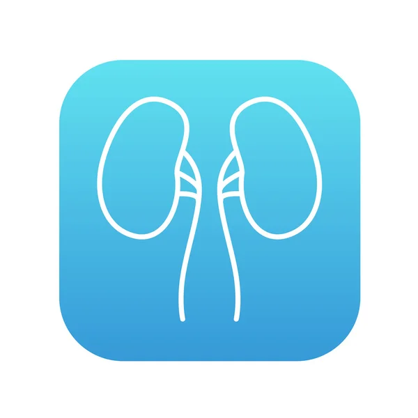 Icono de línea renal. — Vector de stock