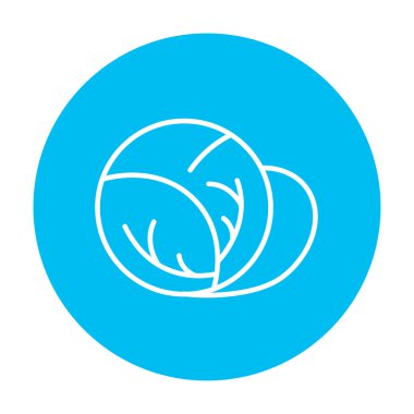 Lahana çizgisi simgesi.