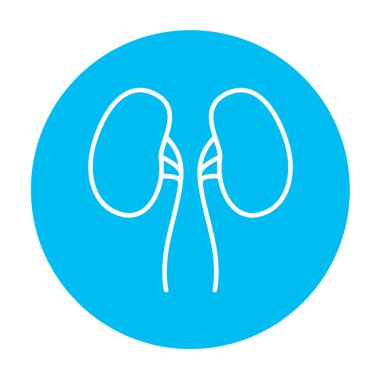 Böbrek çizgisi simgesi.