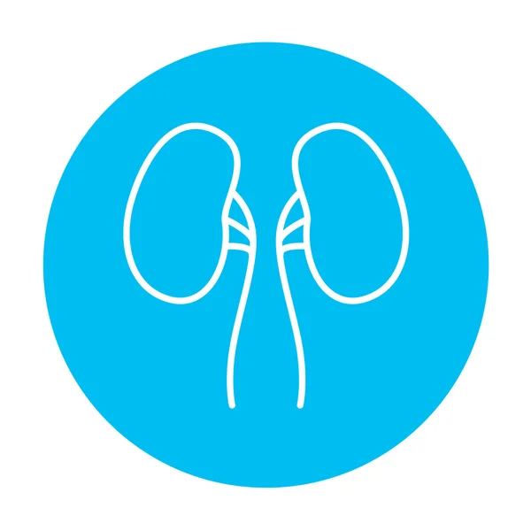 Kidney line icon. — Stock Vector
