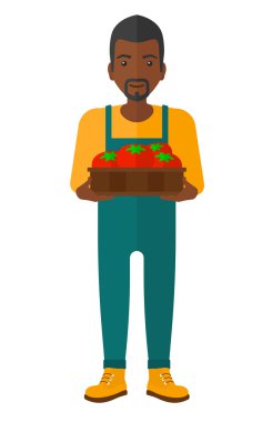 Çiftçi toplama domates.