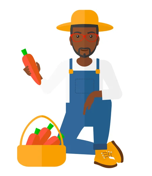 Farmer collecting carrots. — Stock Vector