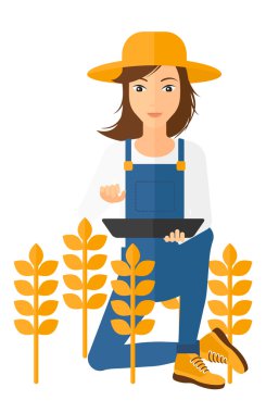 Alan bilgisayarda adamla.