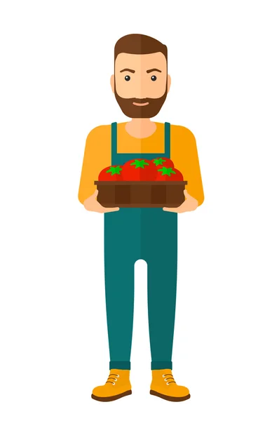 Farmer collecting tomatos. — Stock Vector